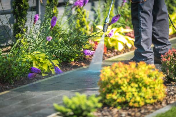 Best Pre-Holiday Cleaning  in Vandalia, OH